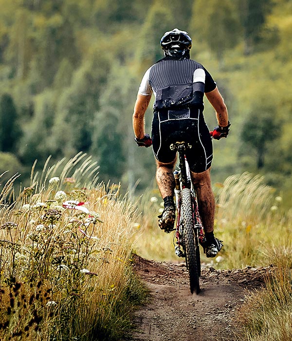 Mountainbiker von hinten fährt durchs Gelände